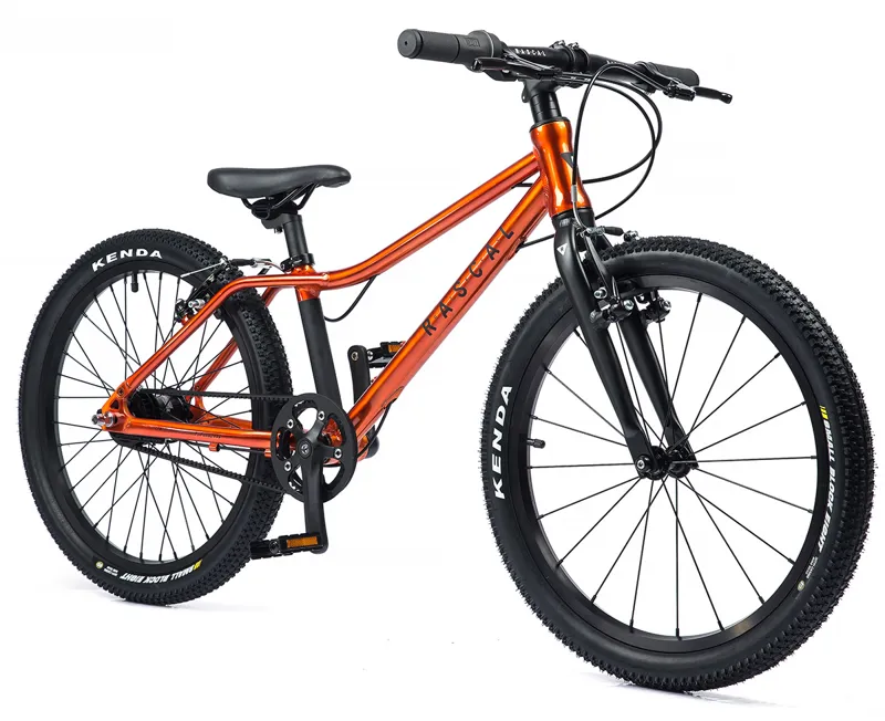 Rascal 20 inch Wheel Kids Bike 2021 in Flame-1